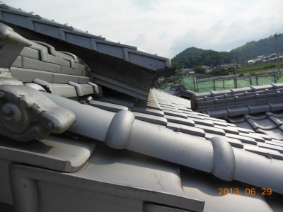DSCN5361