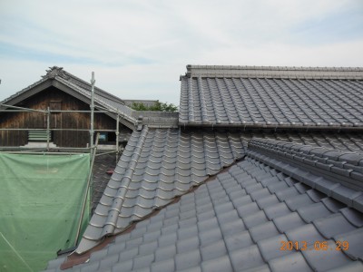 DSCN5370