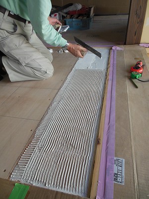 DSCN8029