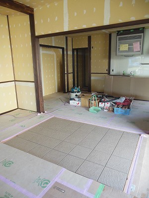 DSCN8046