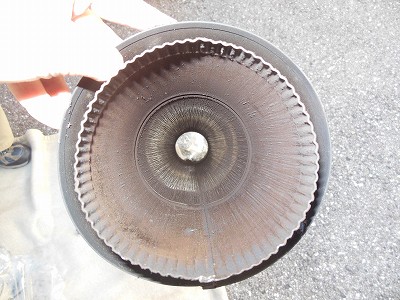14DSCN9534