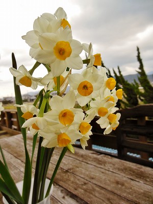 DSCN9872