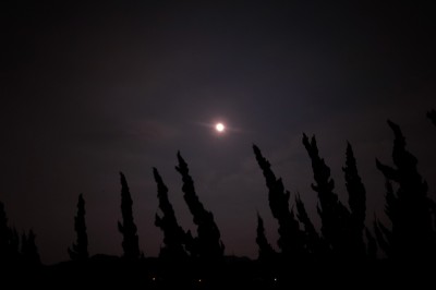 R0015523