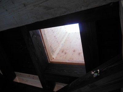 DSCN3224