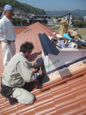 DSCN7931
