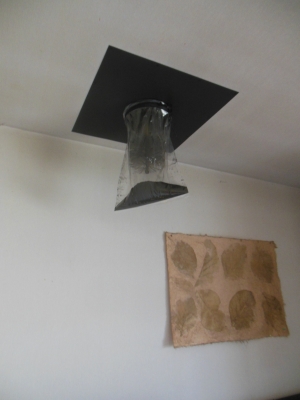 DSCN0987